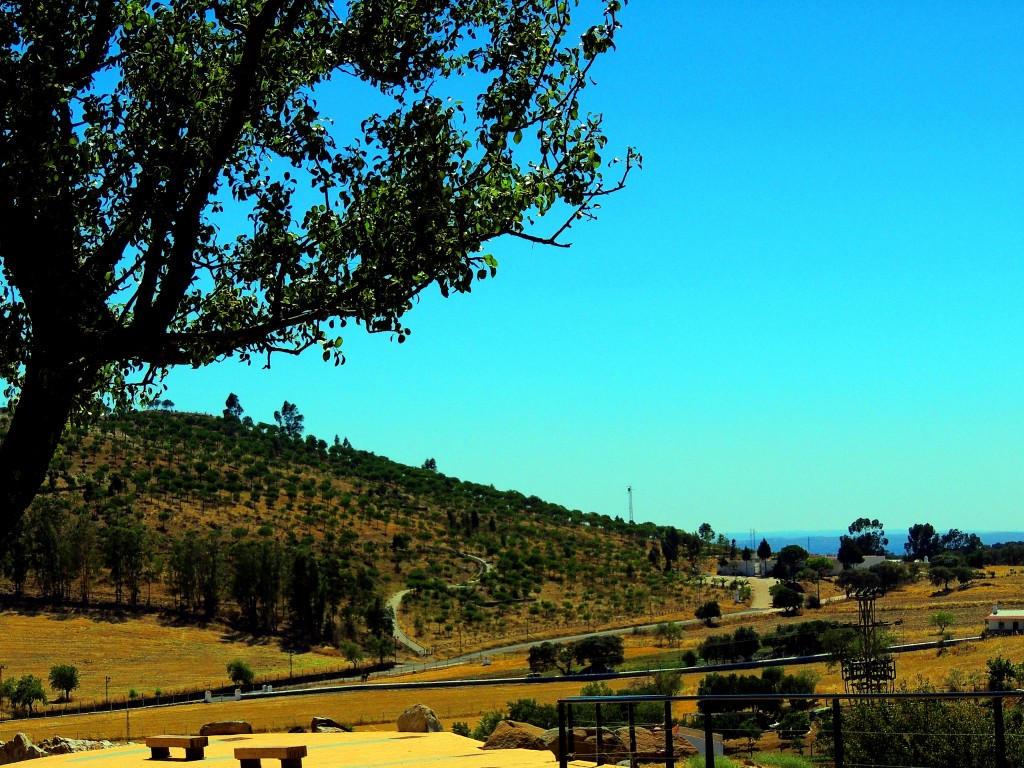 Foto: Vistas - El Almendro (Huelva), España