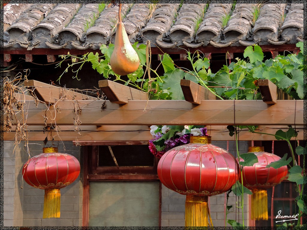 Foto: 140605-106 PEKIN HUTONES BARRIO ANTIGUO - Pekin (Beijing), China