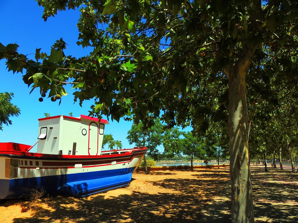 Foto: Navegando por el parque - Isla Cristina (Huelva), España