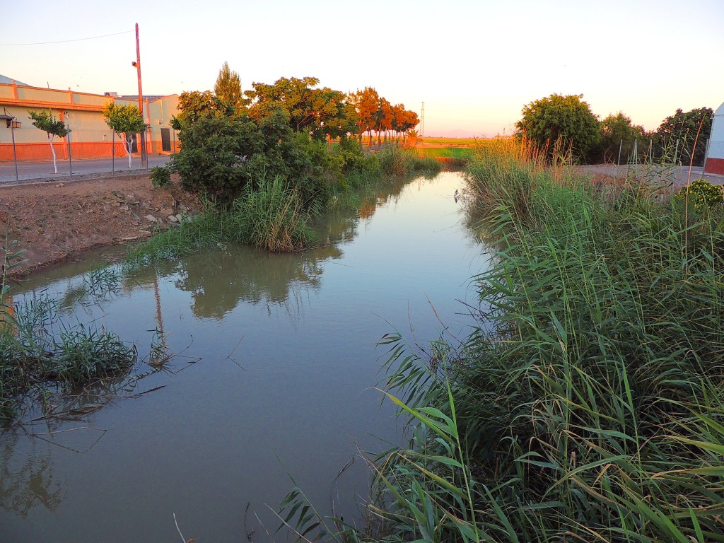 Foto de Isla Mayor (Sevilla), España
