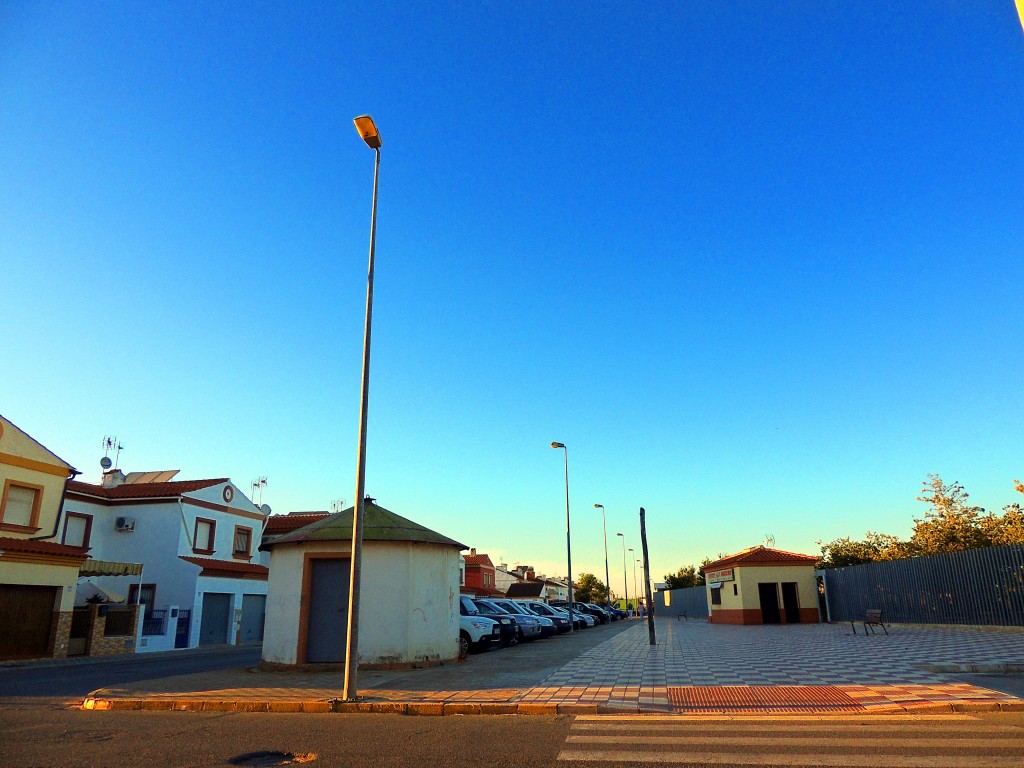 Foto de Isla Mayor (Sevilla), España