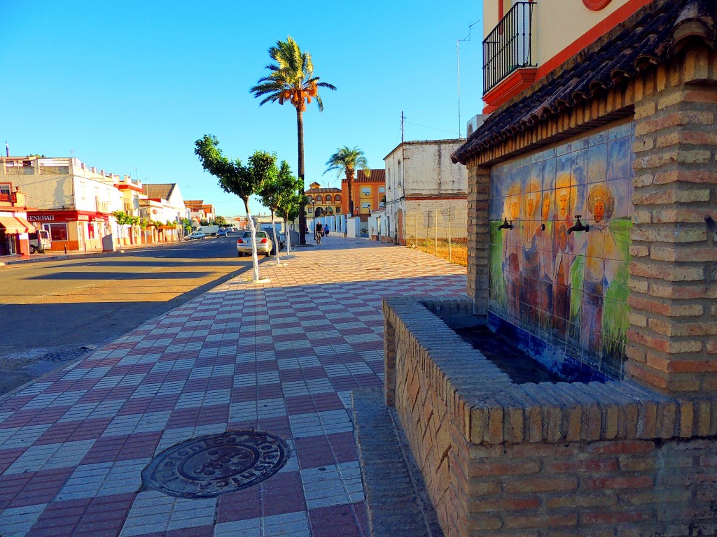 Foto de Isla Mayor (Sevilla), España