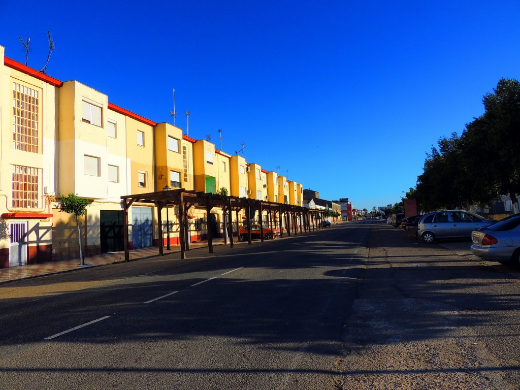Foto de Isla Mayor (Sevilla), España