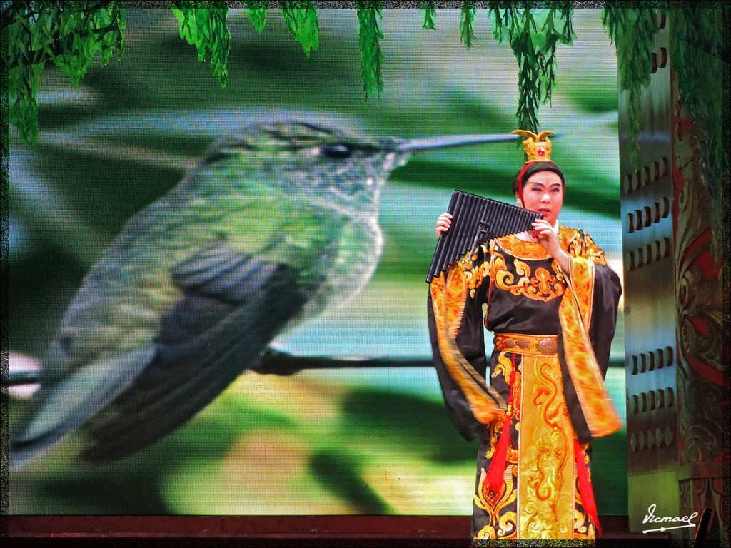 Foto: 140609-284 XIAN DANZA DINASTIA TANG - Xian (Shaanxi), China