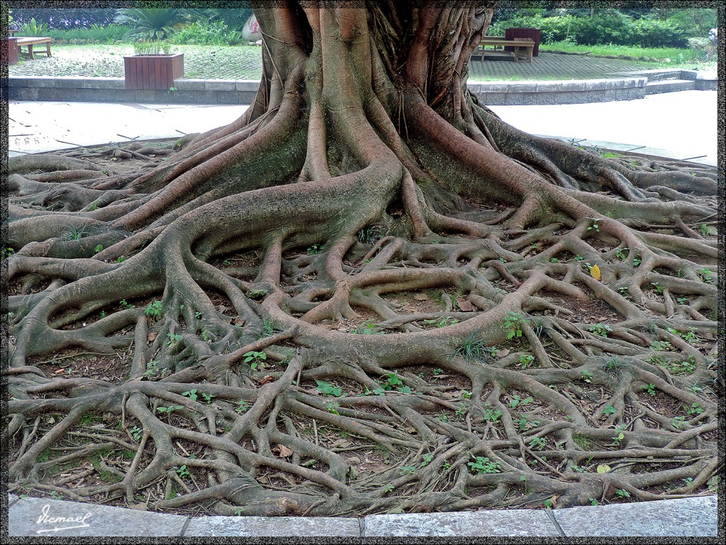 Foto: 140610-109 GUILIN - Guilin (Guangxi), China