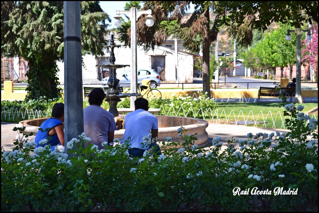 Foto de Malloa (Libertador General Bernardo OʼHiggins), Chile