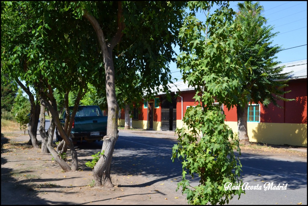 Foto de Malloa (Libertador General Bernardo OʼHiggins), Chile