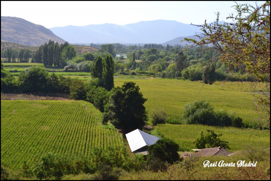 Foto de Tunca al Medio (Libertador General Bernardo OʼHiggins), Chile