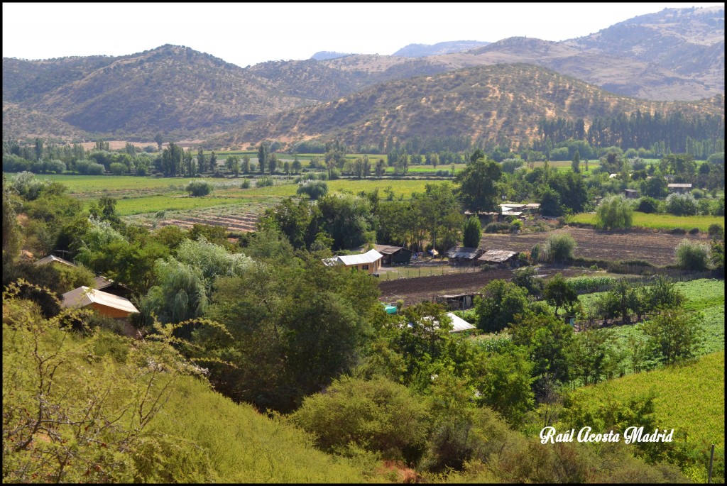 Foto de Tunca al Medio (Libertador General Bernardo OʼHiggins), Chile