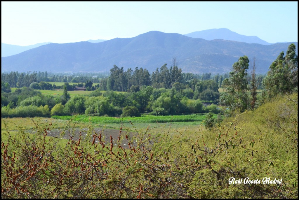 Foto de Tunca al Medio (Libertador General Bernardo OʼHiggins), Chile