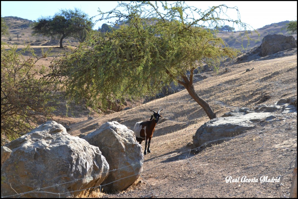 Foto de Tunca al Medio (Libertador General Bernardo OʼHiggins), Chile