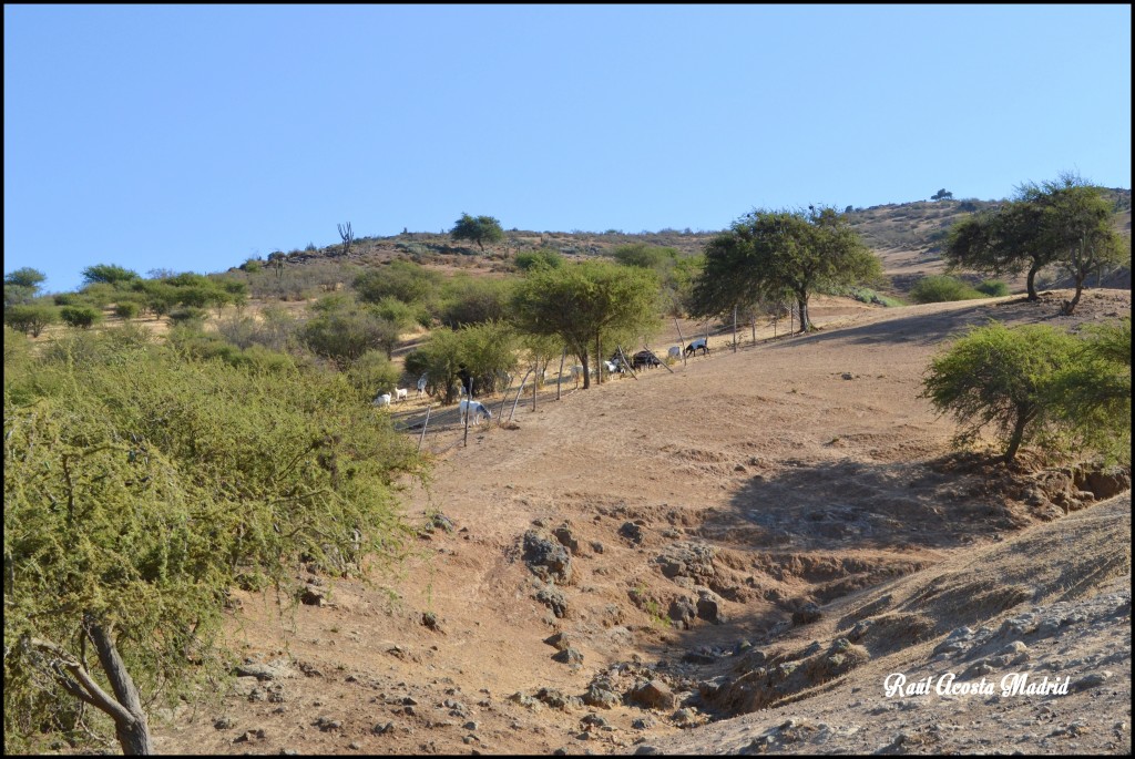 Foto de Tunca al Medio (Libertador General Bernardo OʼHiggins), Chile