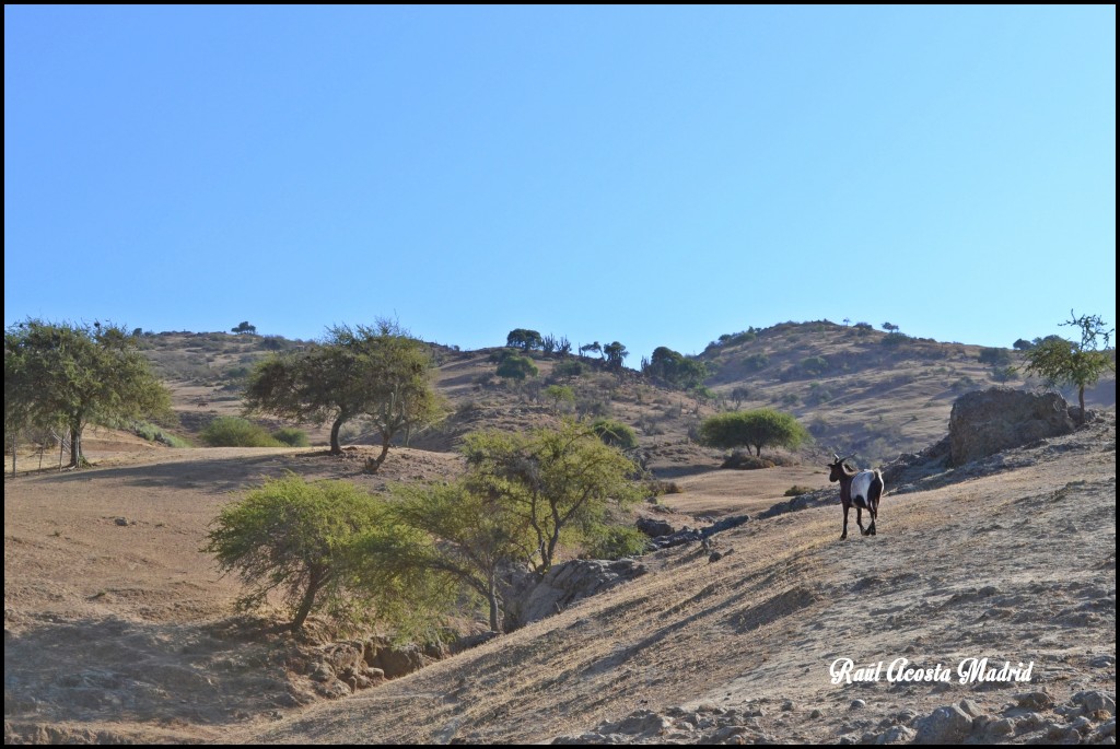 Foto de Tunca al Medio (Libertador General Bernardo OʼHiggins), Chile