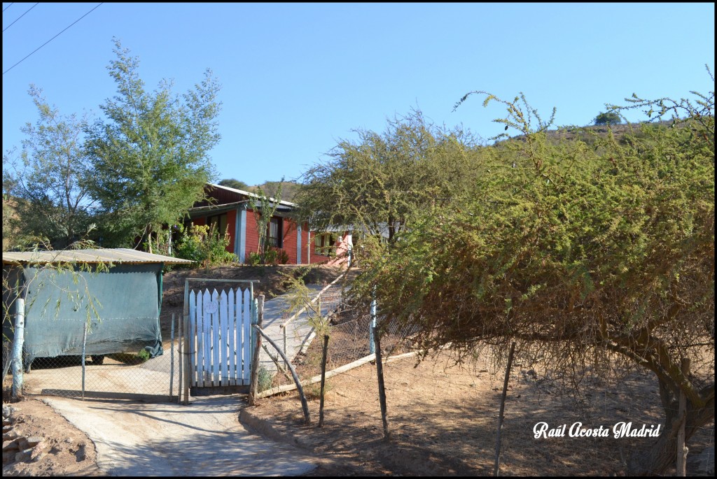 Foto de Tunca al Medio (Libertador General Bernardo OʼHiggins), Chile