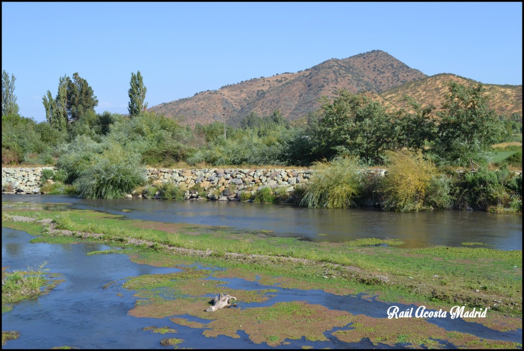 Foto de Quinta de Tilcoco (Libertador General Bernardo OʼHiggins), Chile