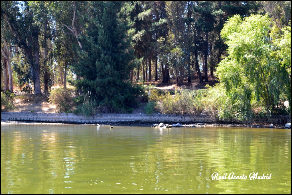 Foto de Lago Rapel (Libertador General Bernardo OʼHiggins), Chile