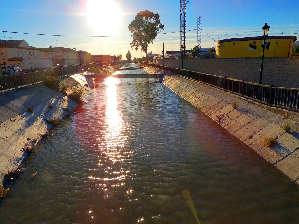 Foto de Isla Mayor (Sevilla), España