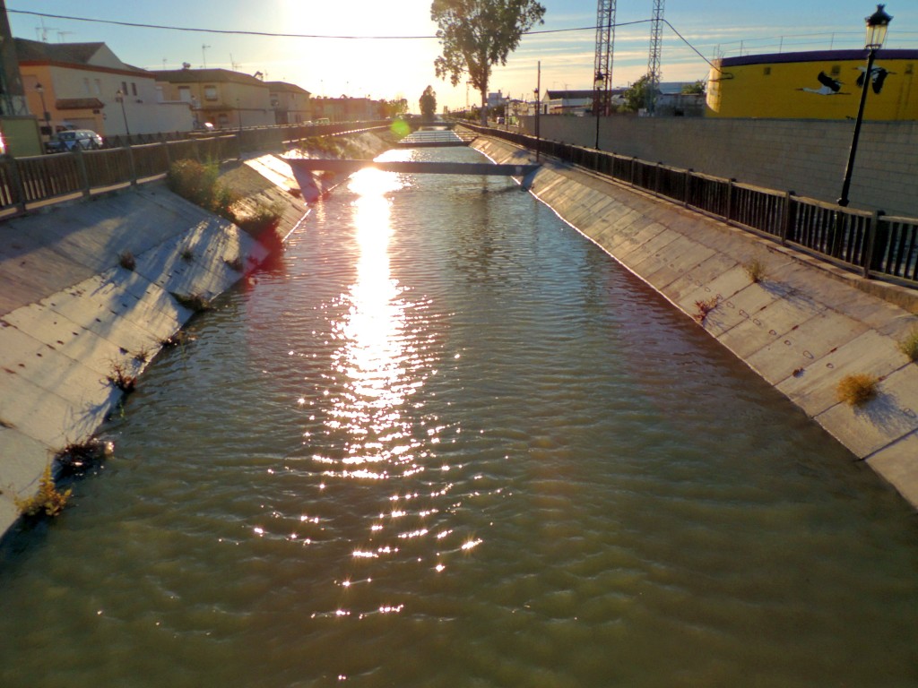 Foto de Isla Mayor (Sevilla), España