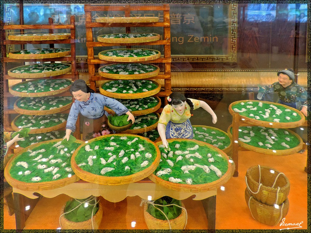 Foto: 140613-132 SHANGHAI SEDA - Shanghai, China