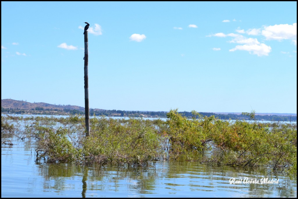 Foto de Lago Rapel (Libertador General Bernardo OʼHiggins), Chile