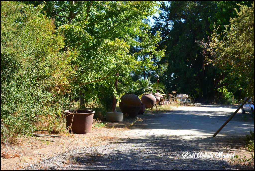 Foto de Alhué (Región Metropolitana), Chile