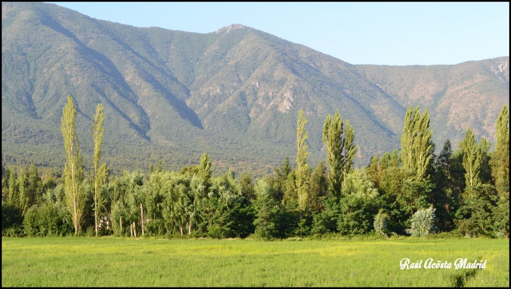 Foto de Lo Miranda (Libertador General Bernardo OʼHiggins), Chile