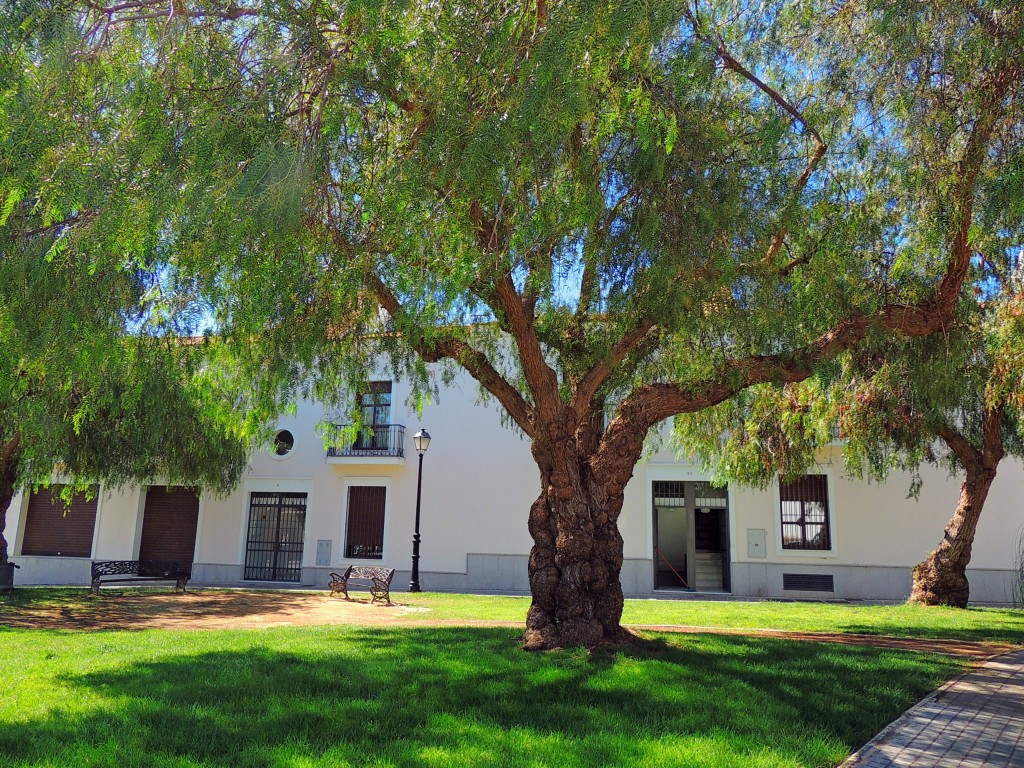 Foto de Lepe (Huelva), España