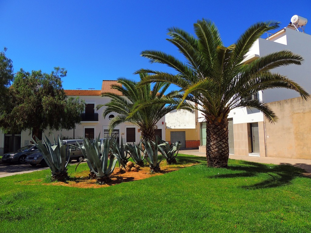 Foto de Lepe (Huelva), España