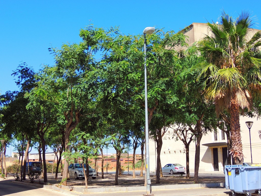 Foto de Lepe (Huelva), España