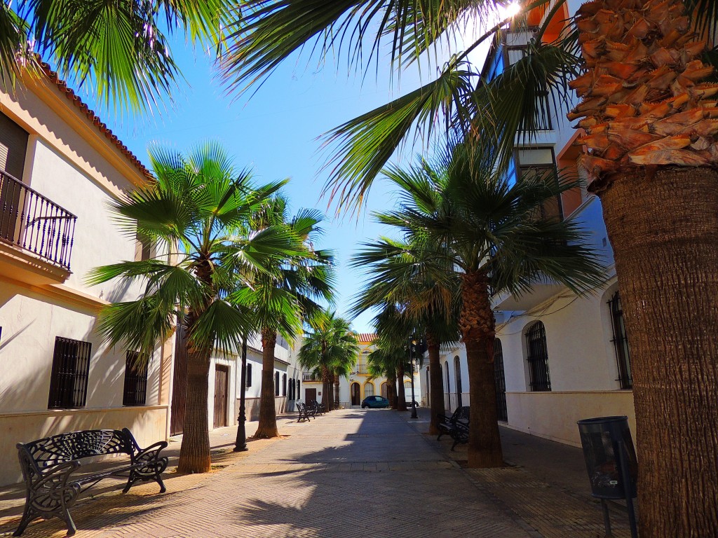 Foto de Lepe (Huelva), España