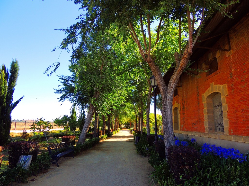 Foto de Lepe (Huelva), España