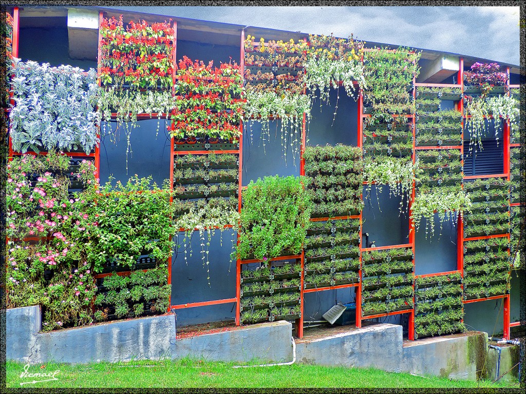 Foto: 140614-027 SHANGHAI - Shan Ghai (Shanghai), China