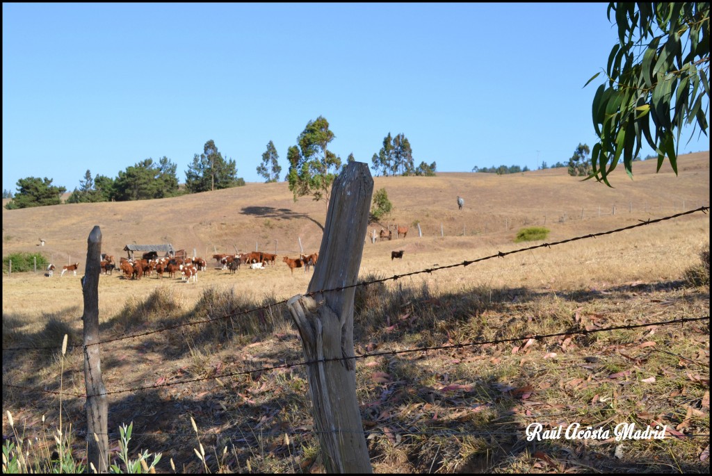 Foto de Paredones (Maule), Chile