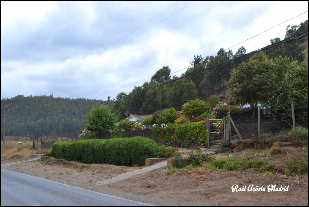Foto de Duao (Maule), Chile