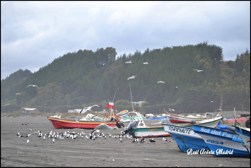 Foto de Duao (Maule), Chile