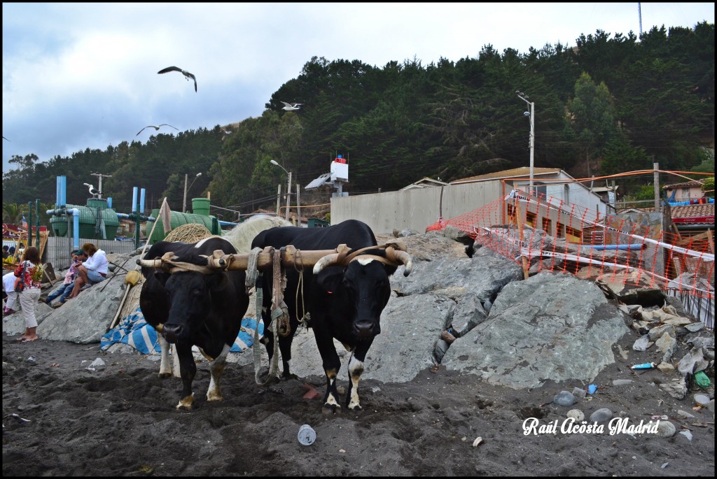 Foto de Duao (Maule), Chile