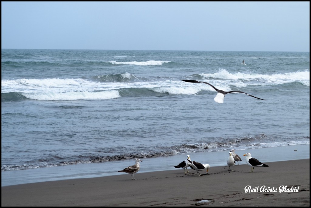 Foto de Duao (Maule), Chile