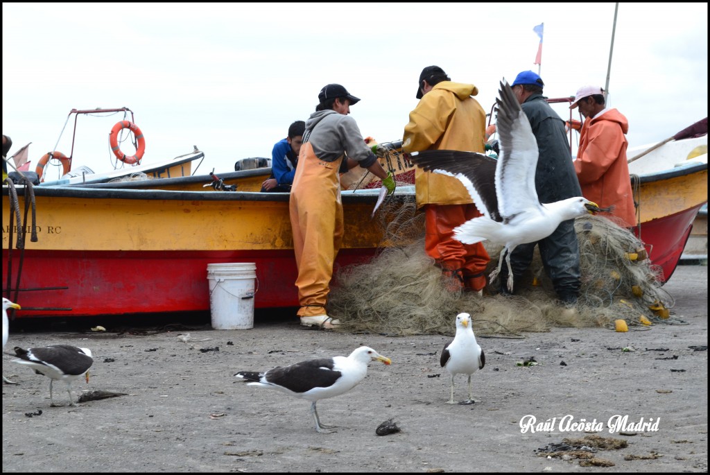 Foto de Duao (Maule), Chile