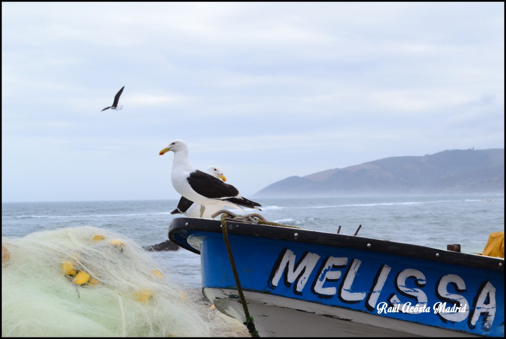 Foto de Duao (Maule), Chile
