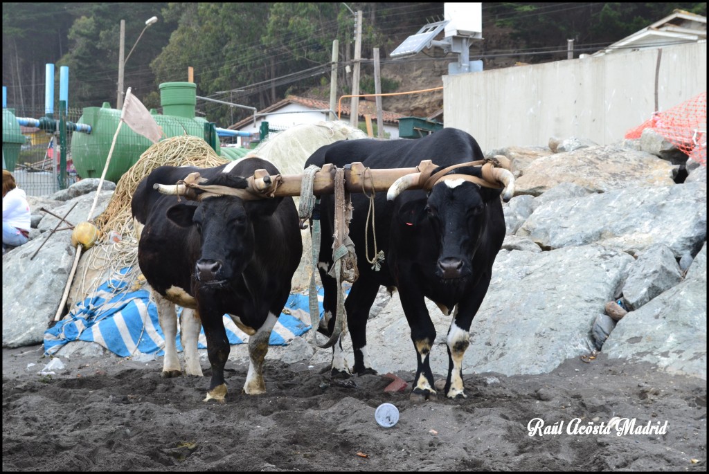 Foto de Duao (Maule), Chile
