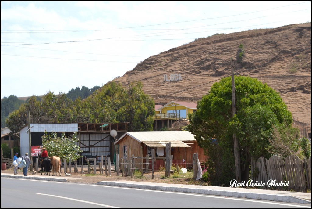 Foto de ILoca (Maule), Chile