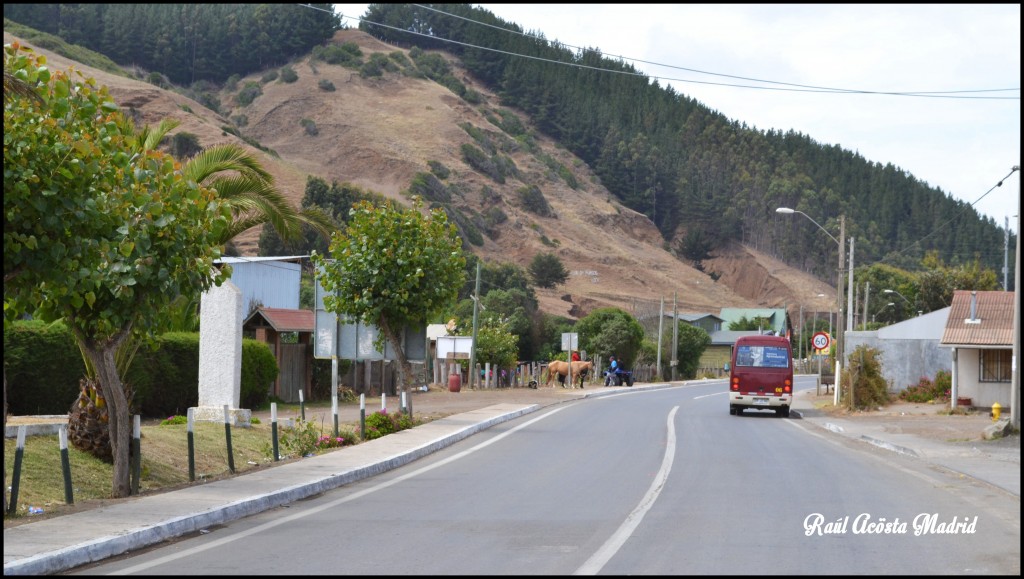 Foto de ILoca (Maule), Chile