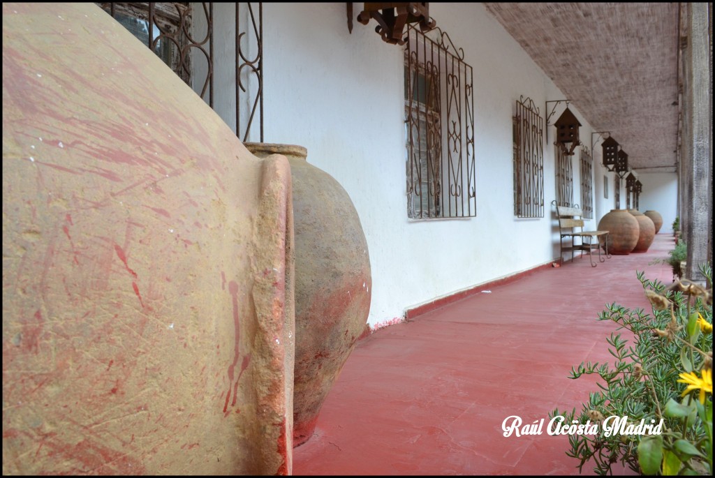 Foto de ILoca (Maule), Chile