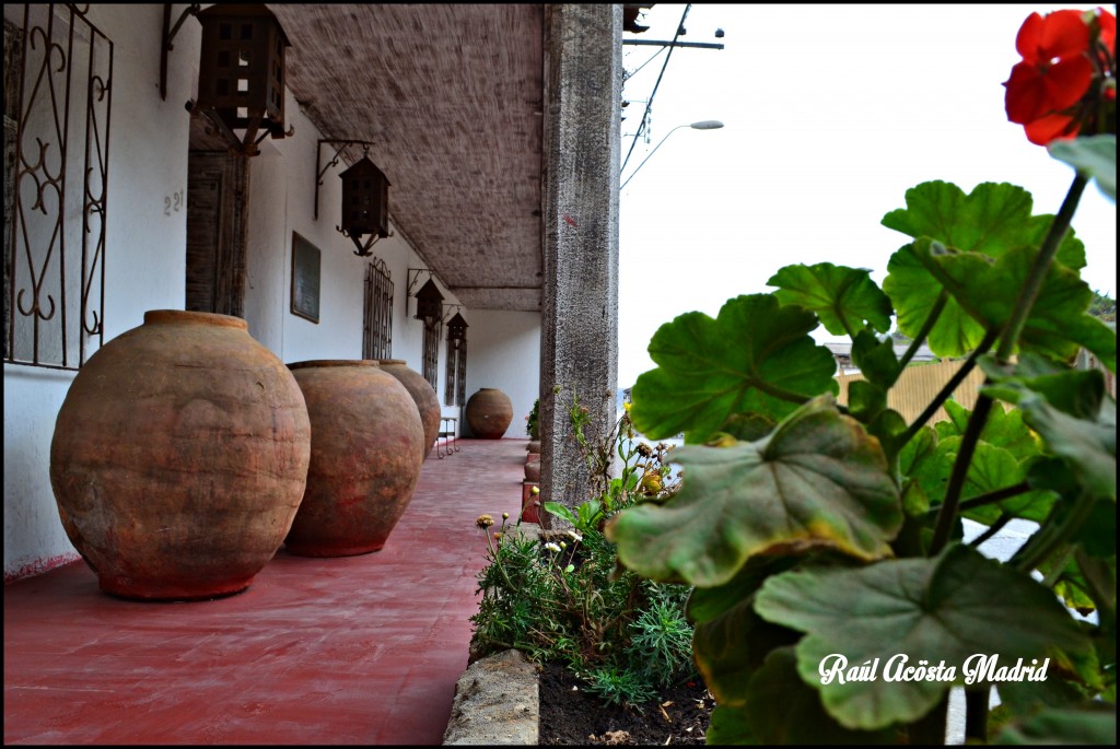 Foto de ILoca (Maule), Chile