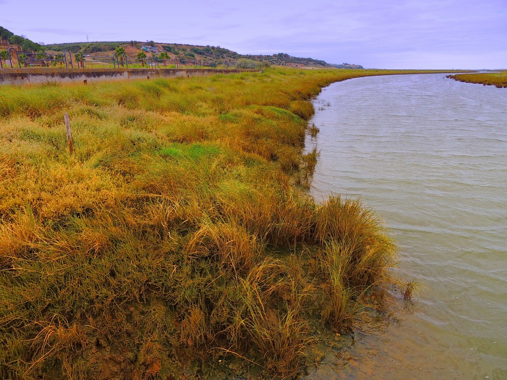 Foto de Moguer (Huelva), España
