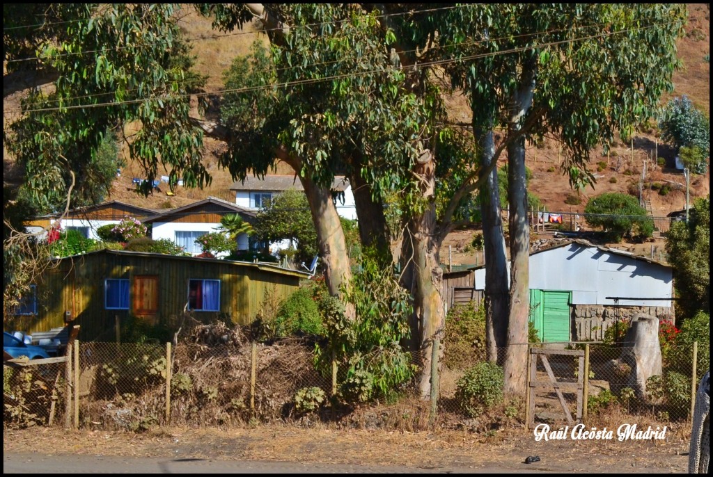 Foto de Duao (Maule), Chile