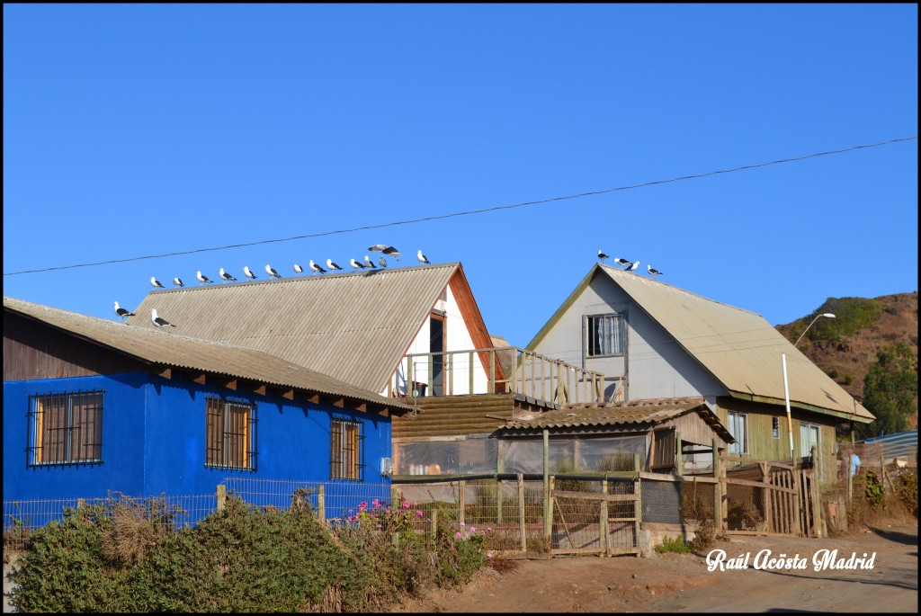 Foto de Duao (Maule), Chile