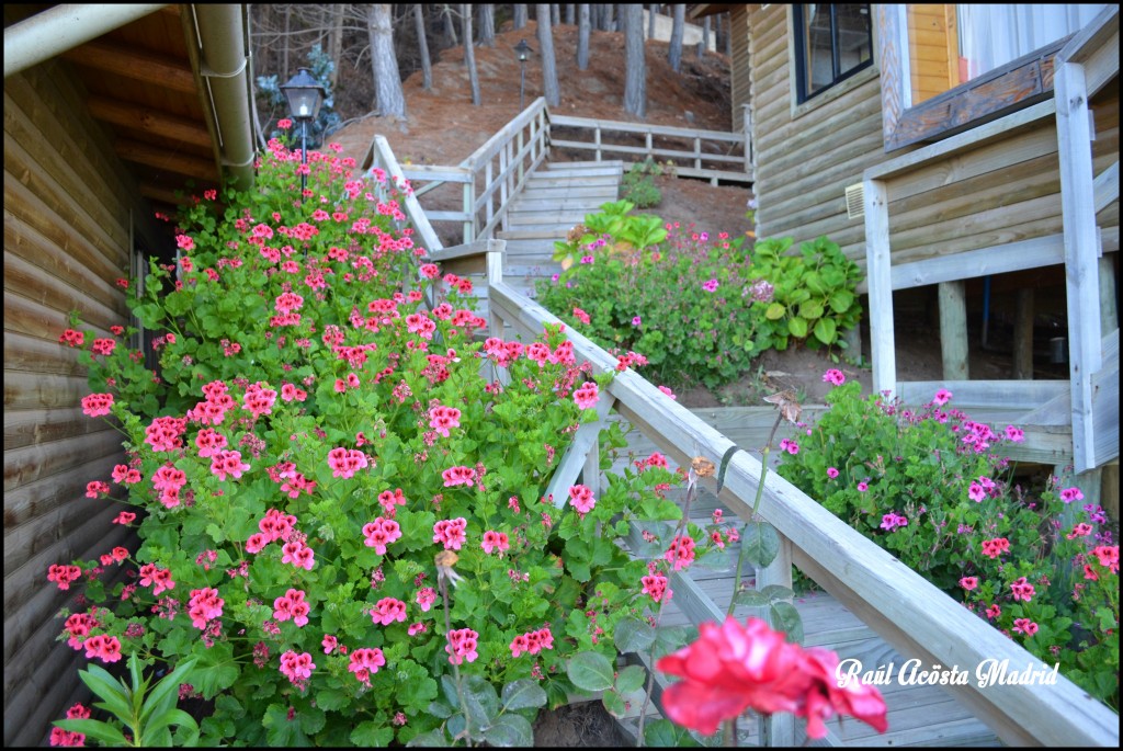 Foto de Duao (Maule), Chile