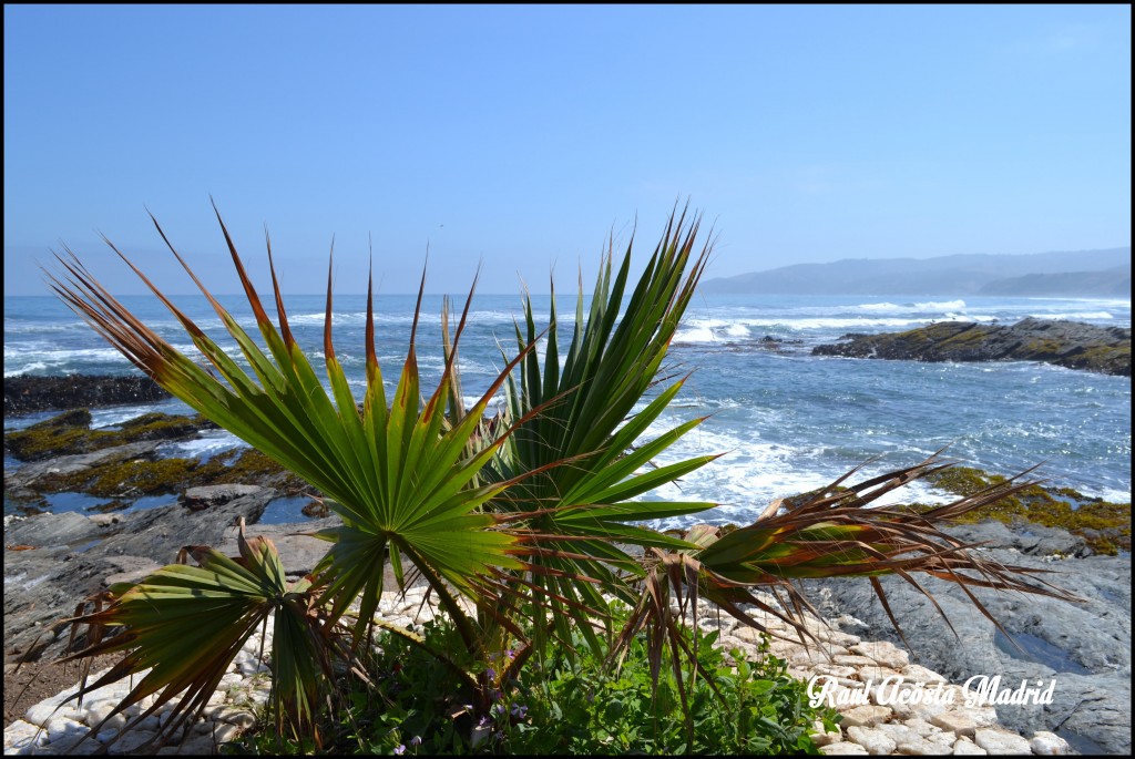 Foto de Duao (Maule), Chile