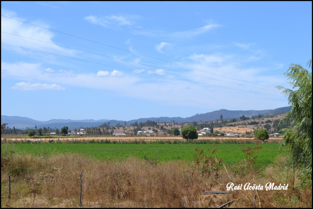 Foto de Licantén (Maule), Chile